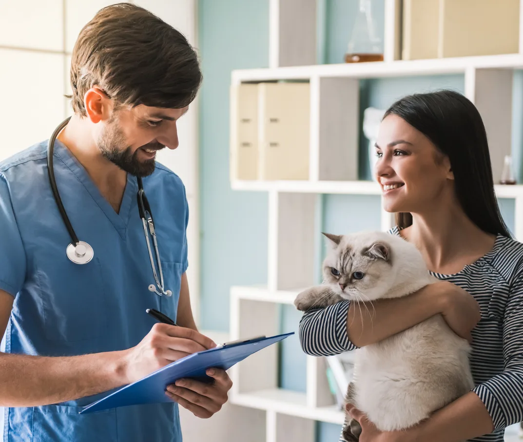 Veterinarian talking to a cat owner in an exam room