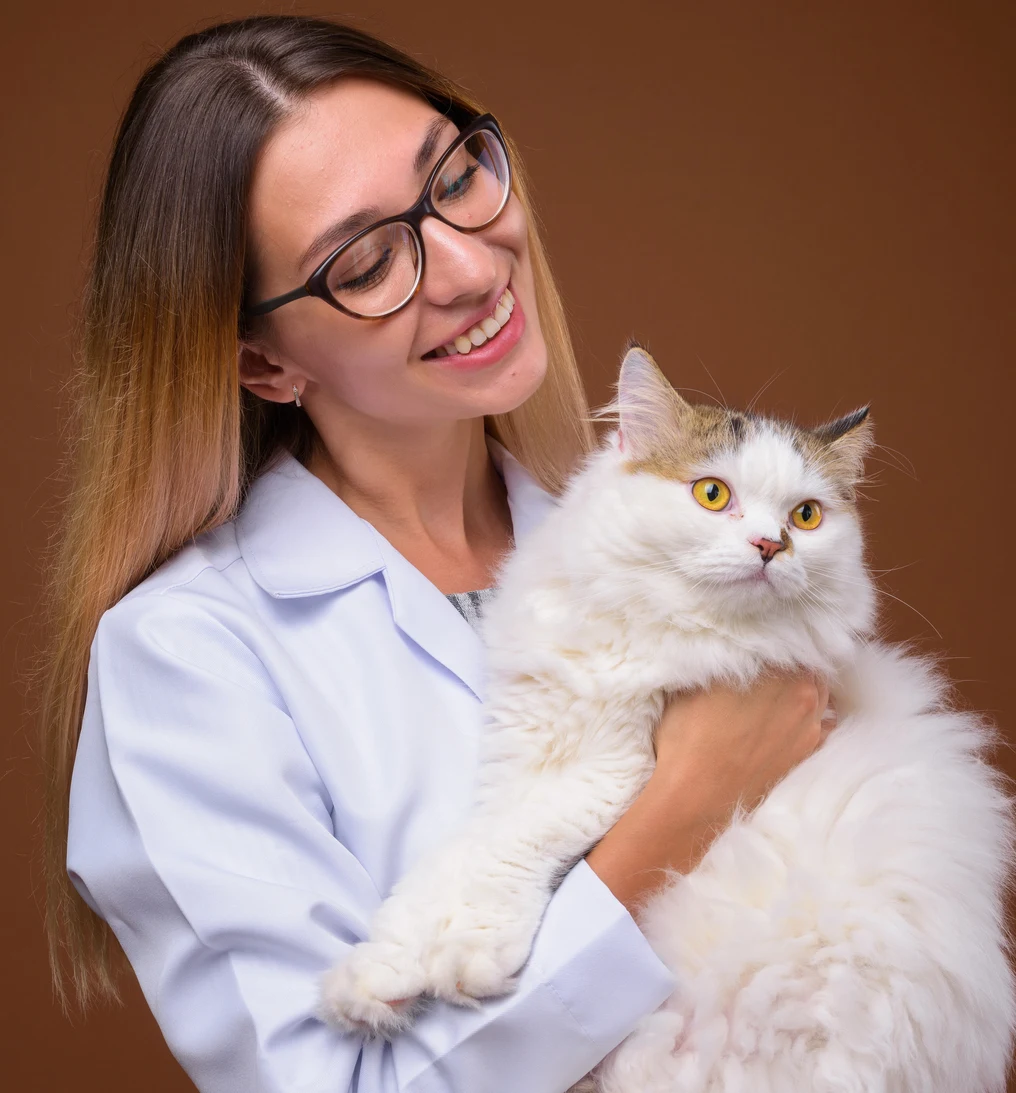 Vet smiling and holding persian cat