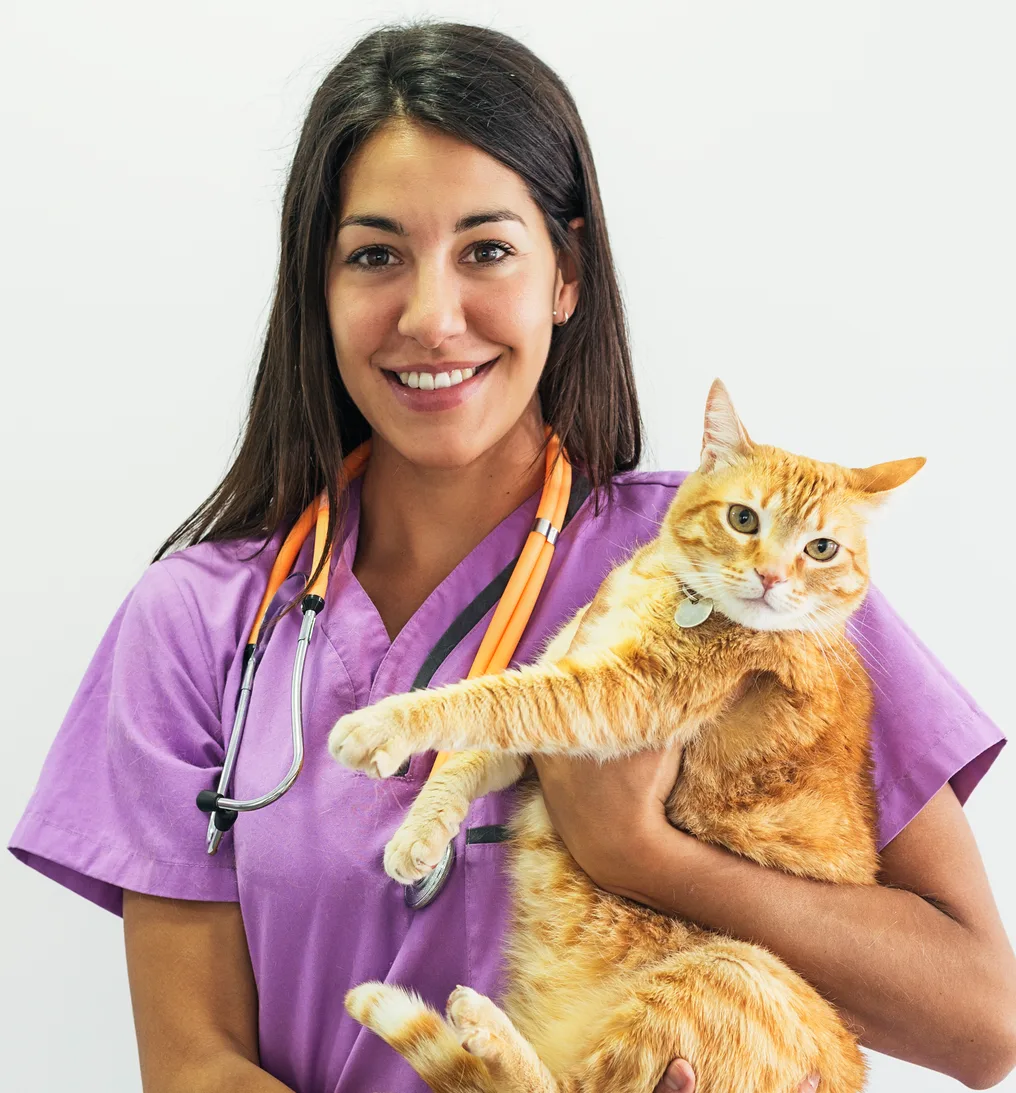 Veterinarian holding an orange cat and smiling