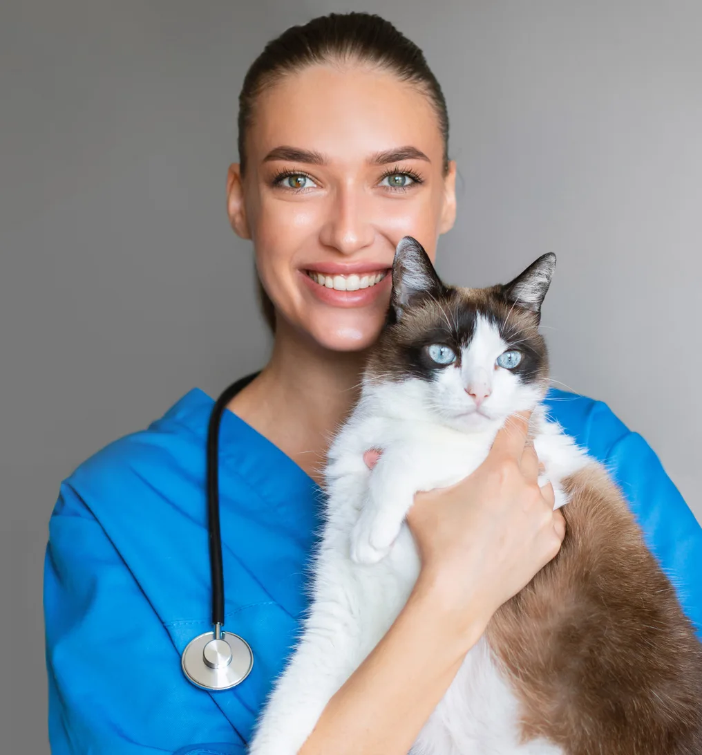Veterinarian holding a cat and smiling