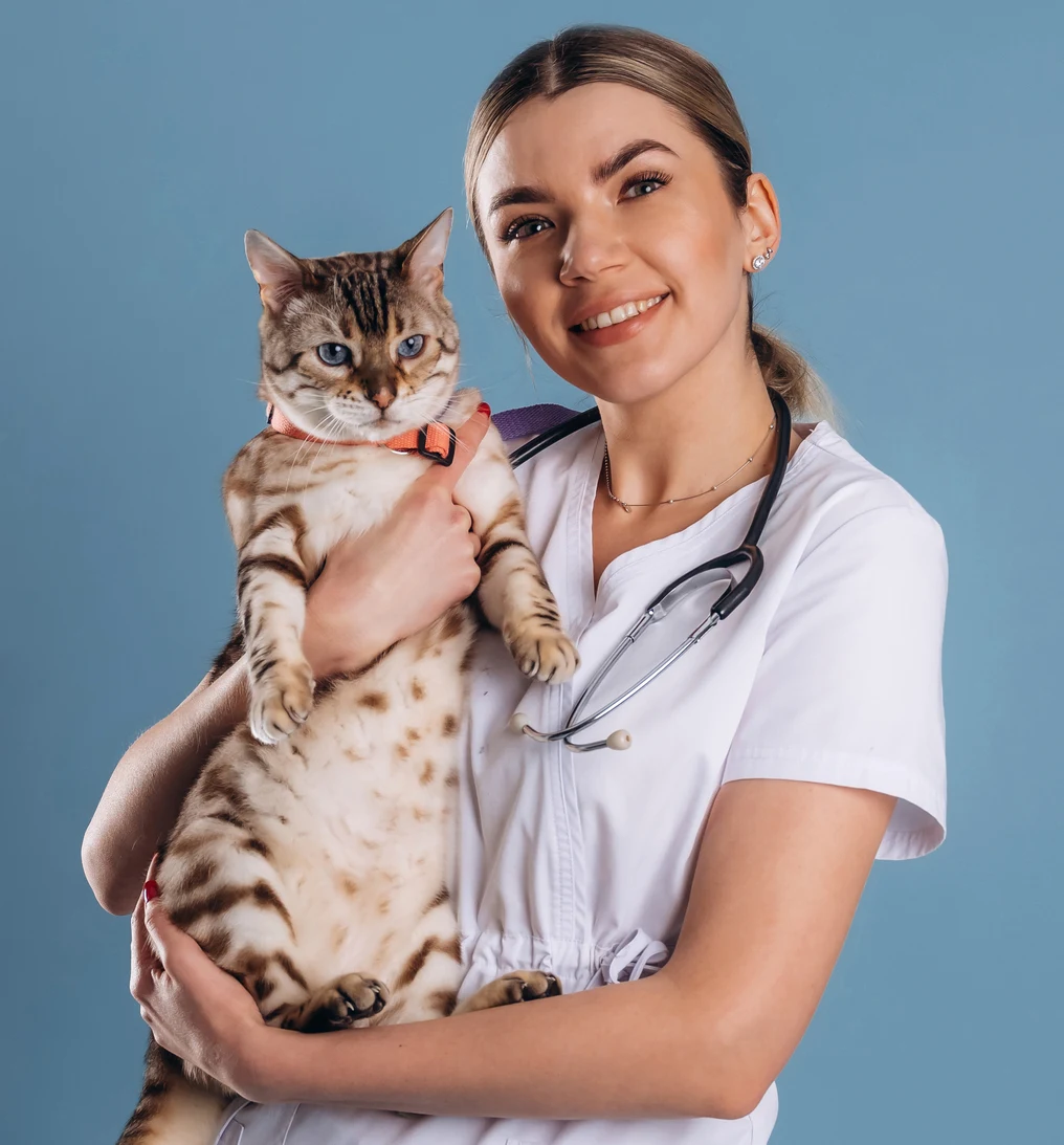 Veterinarian holding cat and smiling