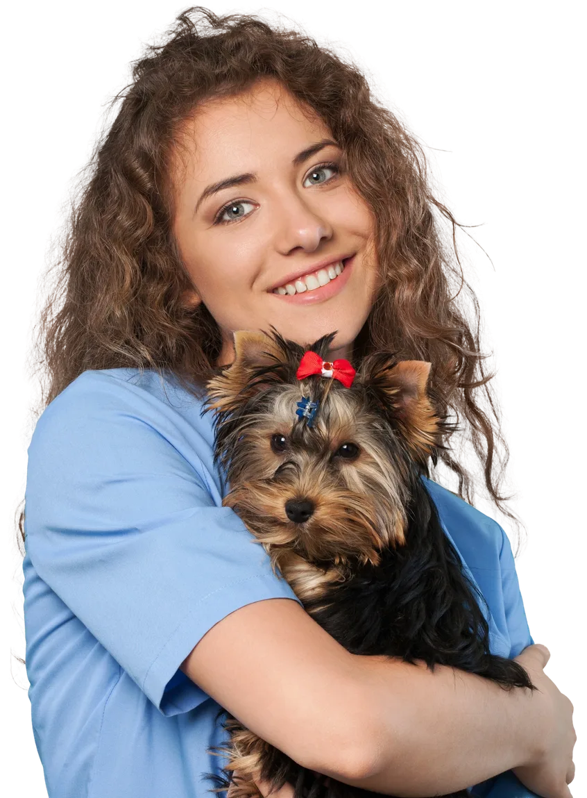 A vet smiling and holding a dog