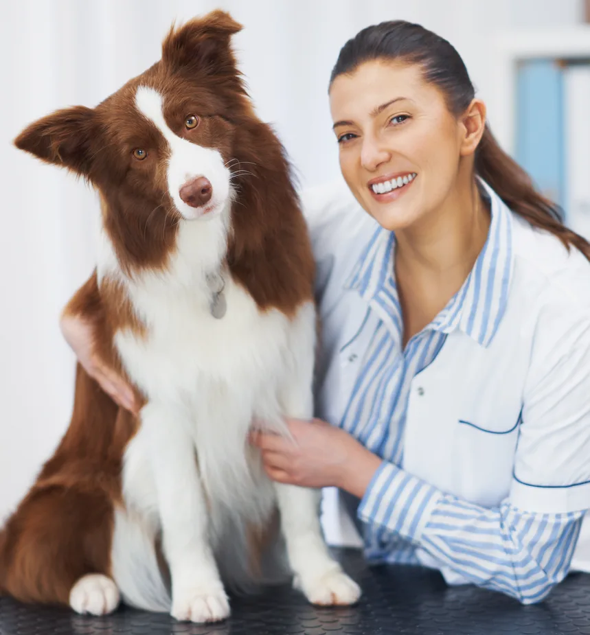 Veterinarian smiling next to a border collie dog