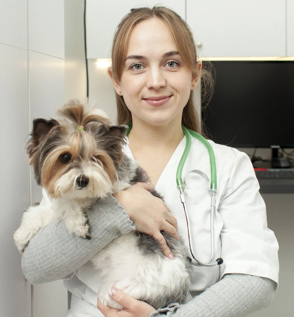 Vet smiling and holding dog
