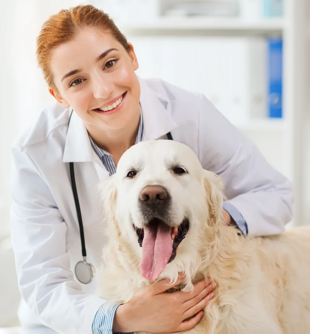 Veterinarian in a white coat smiling next to a golden retriever