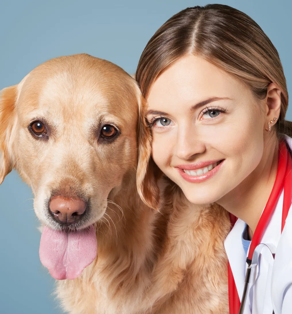 Veterinarian smiling next to a golden retriever