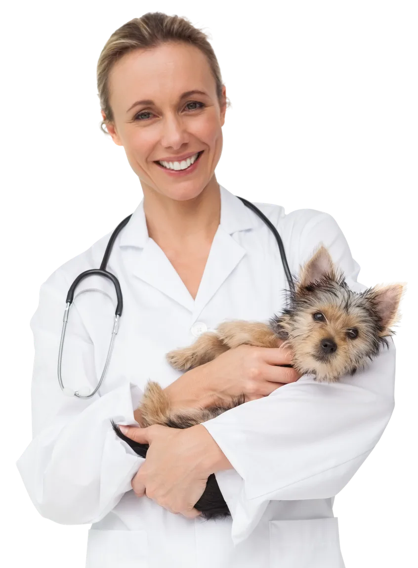 A vet in a white coat smiling and holding a terrier puppy