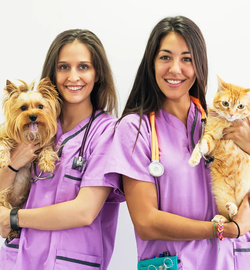 Veterinarians holding a cat and a dog and smiling
