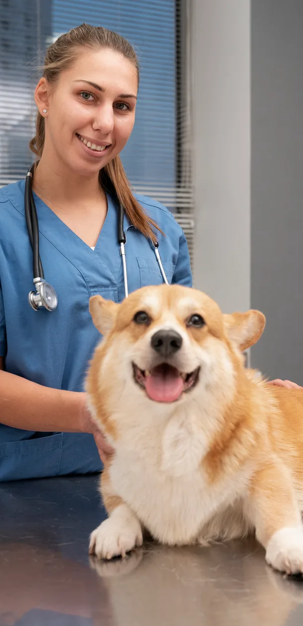 Veterinarian smiling next to a dog