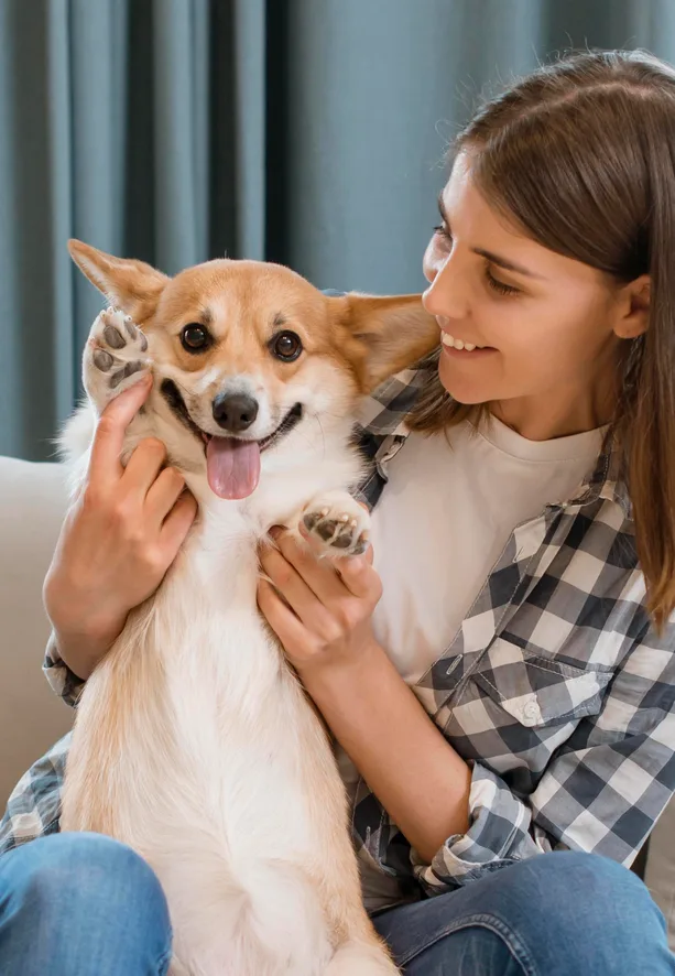 Owner with smiling pet corgi