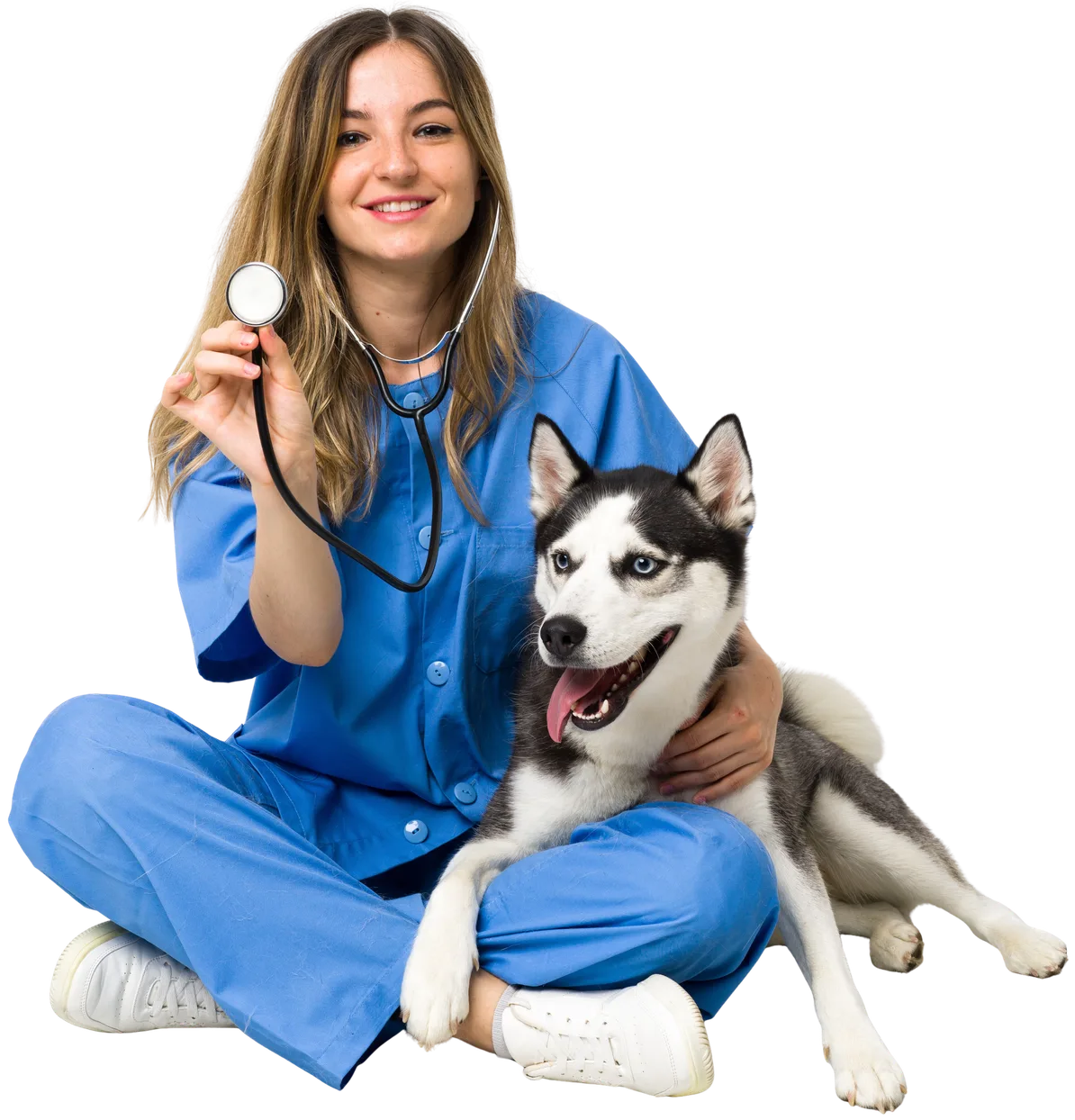 Veterinarian smiling next to a siberian husky