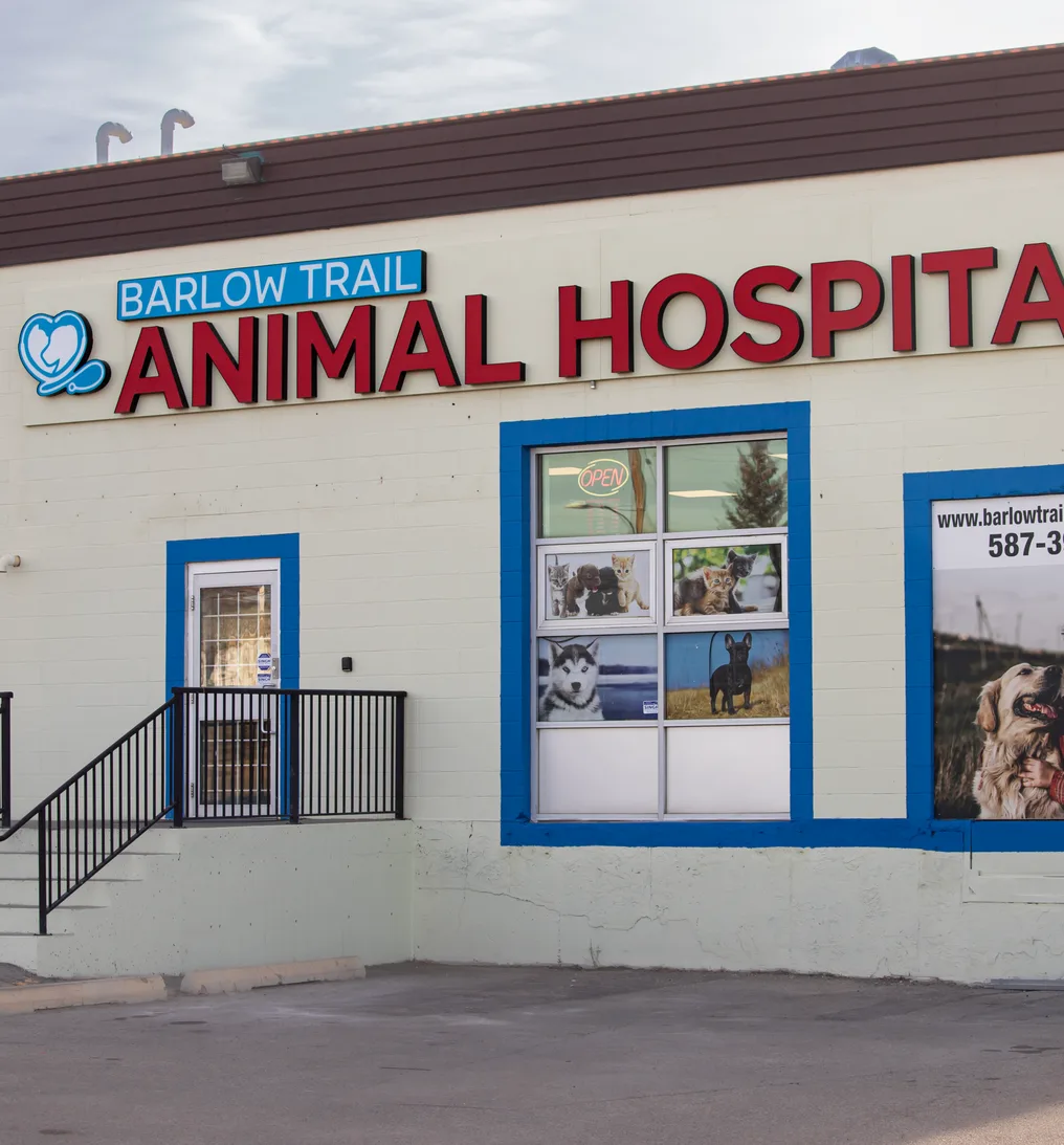 Exterior of Barlow Trail Animal Hospital