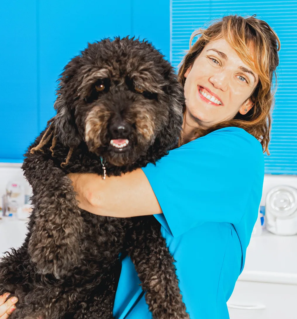 Veterinarian holding dog