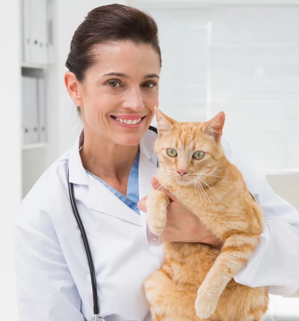Veterinarian holding an orange cat and smiling
